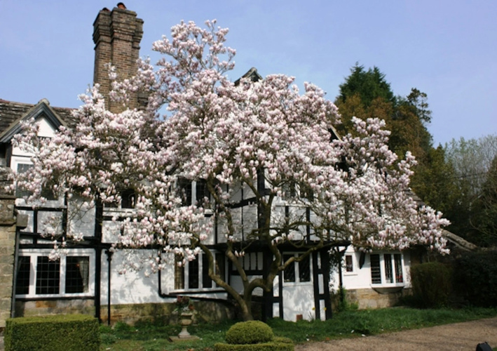 Ockenden Manor Hotel & Spa