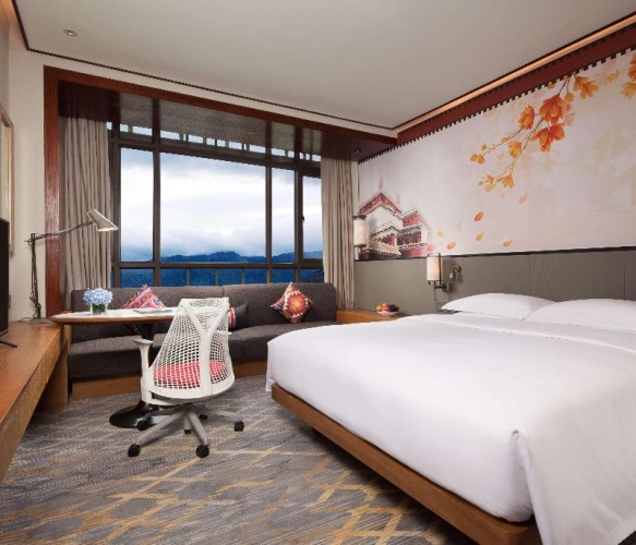 Double room Mountain View