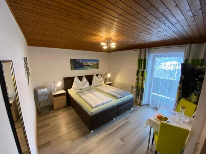 Deluxe Double room with balcony and with view