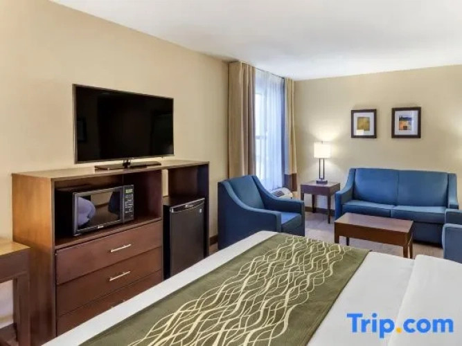 Quadruple Suite