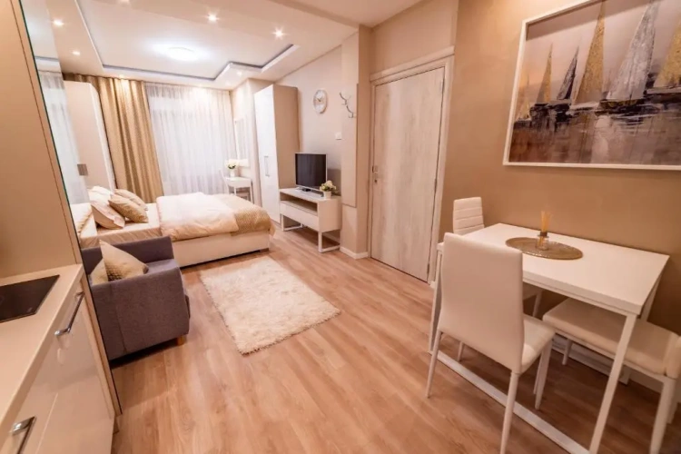 1 Bedroom Apartment