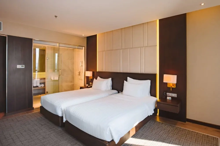 Deluxe Twin room with city view