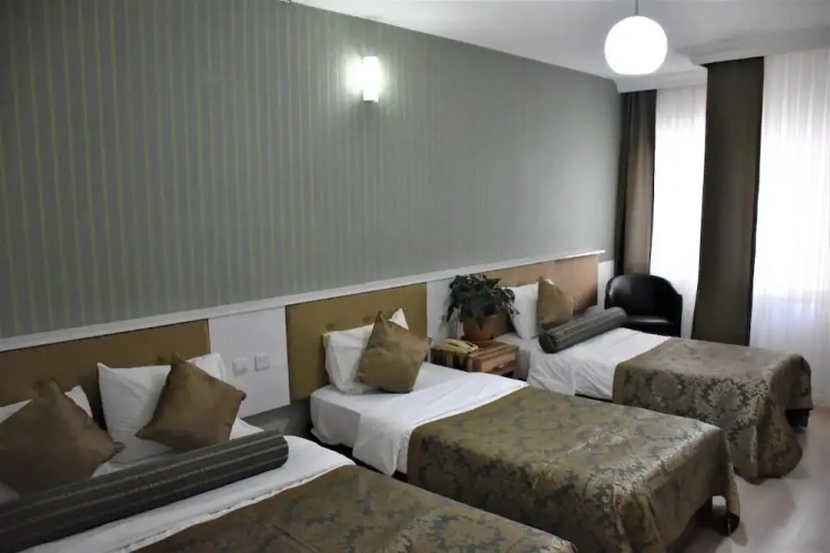 Standard Triple room with city view