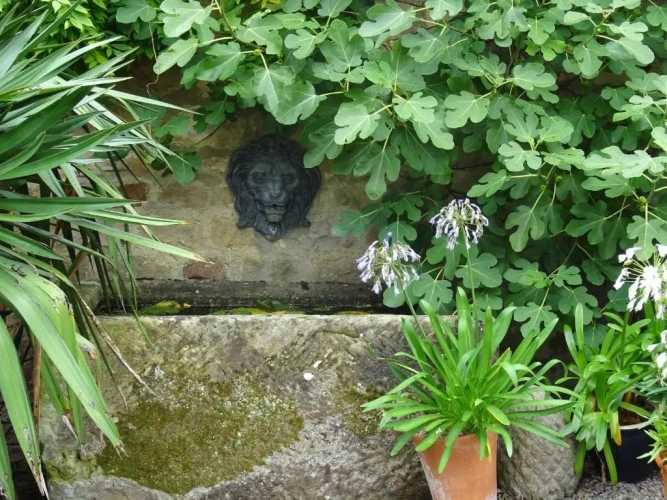 Cottage