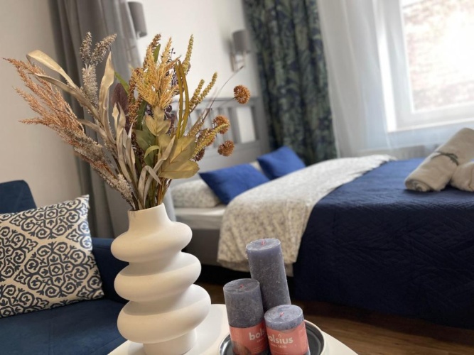 Deluxe Apartment