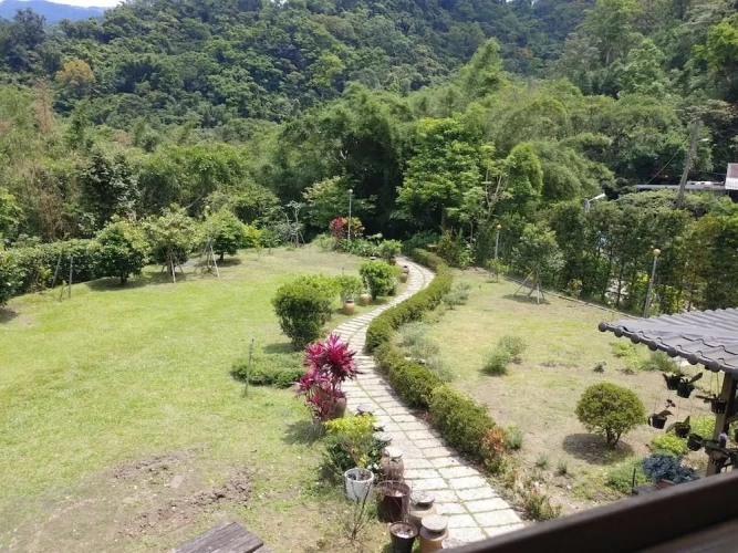 Outside