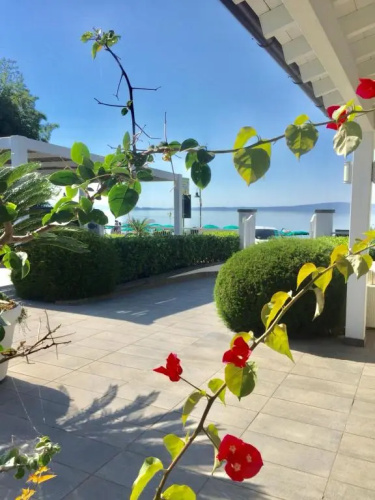 Skipper White Guest House
