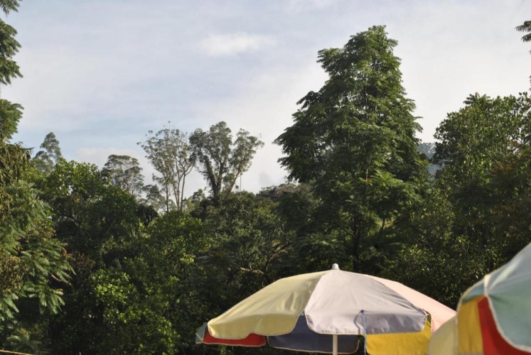 Mountain Villa Adam's Peak