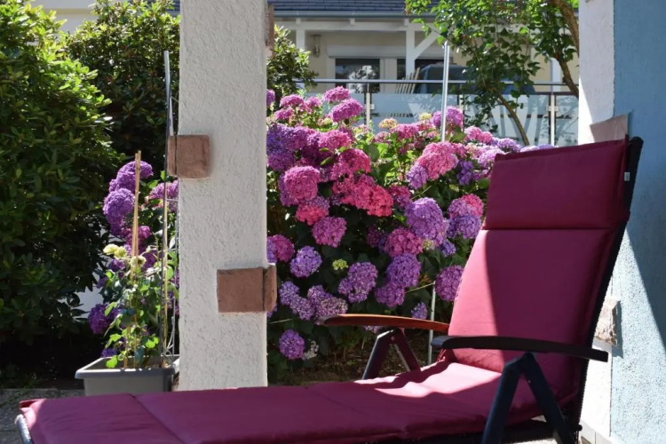 Apartment Rose Sasbachwalden