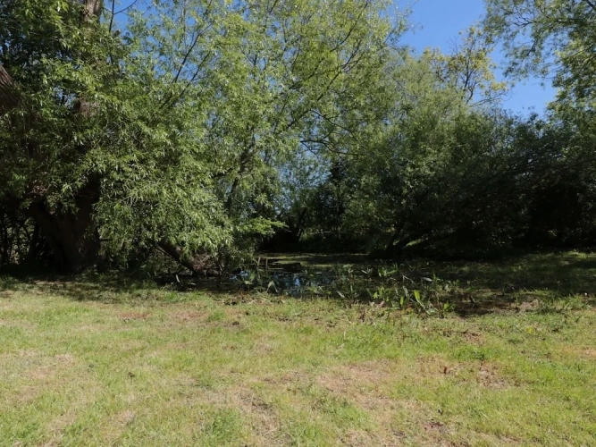 Cottage