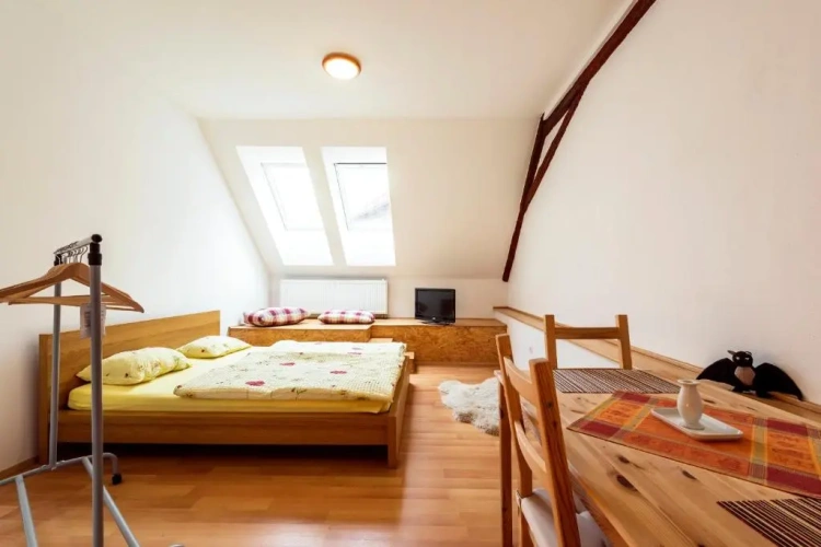 Standard Suite with view