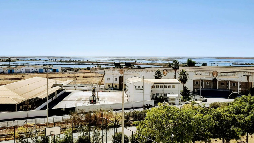 See view Mignon de la Ria Formosa