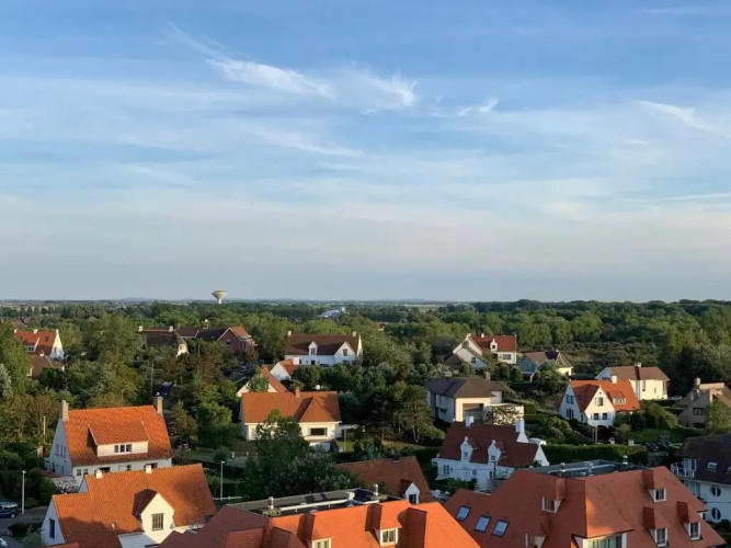 Zandzicht