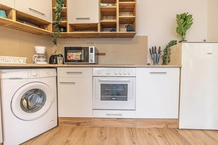 Luxury Flat with Access to Danube