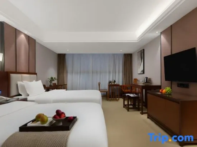 Executive Twin room