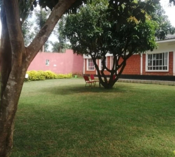 Alexandra Resort