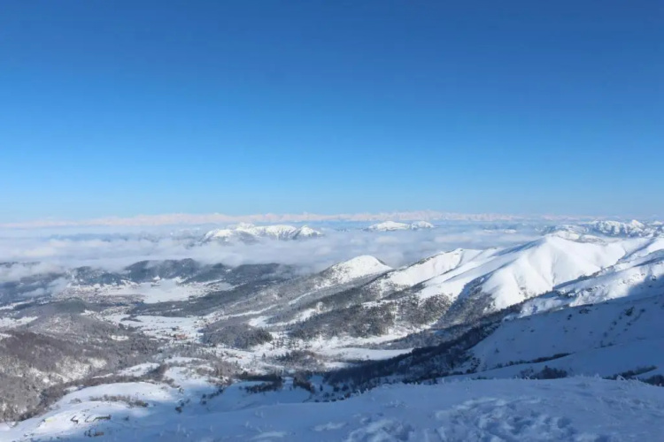 Crystal Resort Bakuriani A404