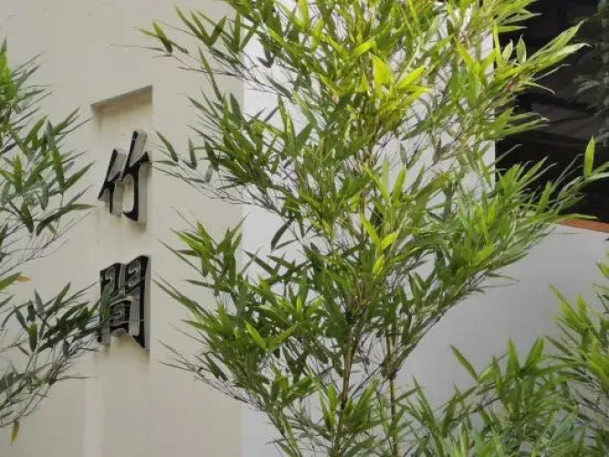 Emei Bamboo Hills Private Hot Spring Hostel