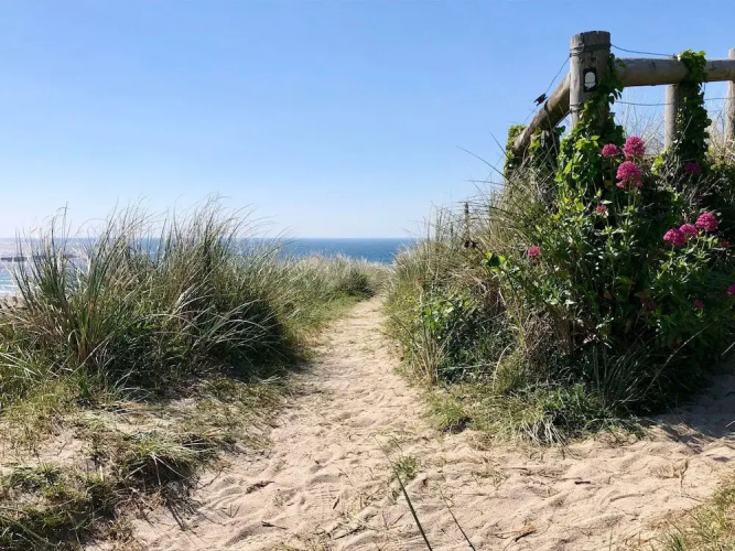 Sea Scape