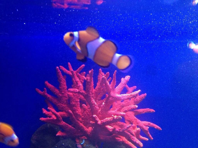 Hotel Real Maestranza