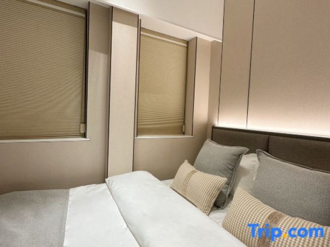 Standard Triple room with city view