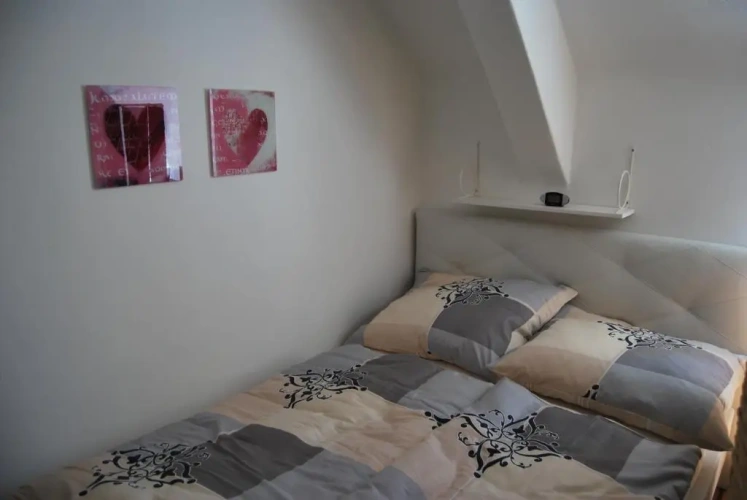 1 Bedroom Standard Apartment