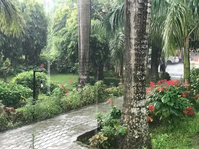 Royal Tiger Safari Resort