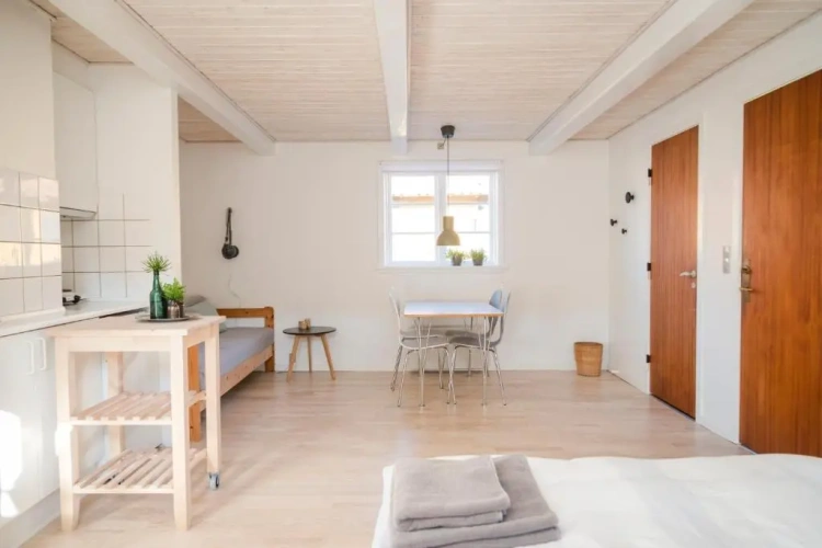 1 Bedroom Apartment