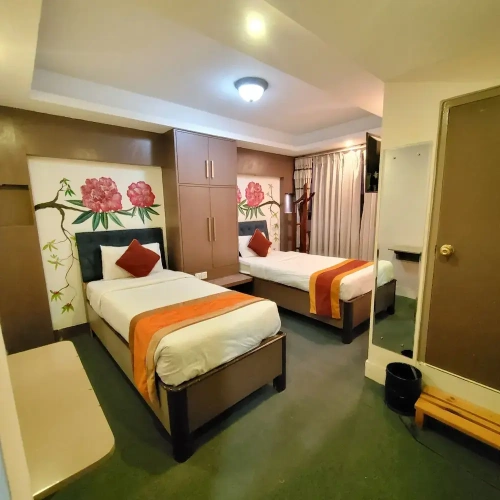 Deluxe Twin room