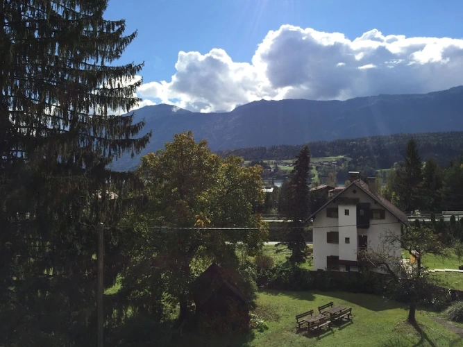 Standard Double room with balcony and with mountain view