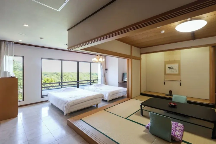 Deluxe room with view