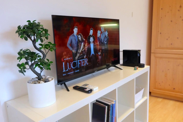 Apartment Bivalvia