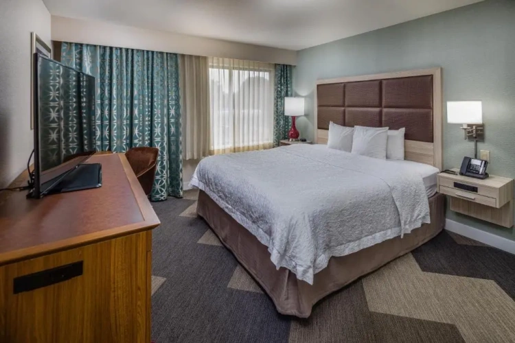 1 Bedroom Double Suite