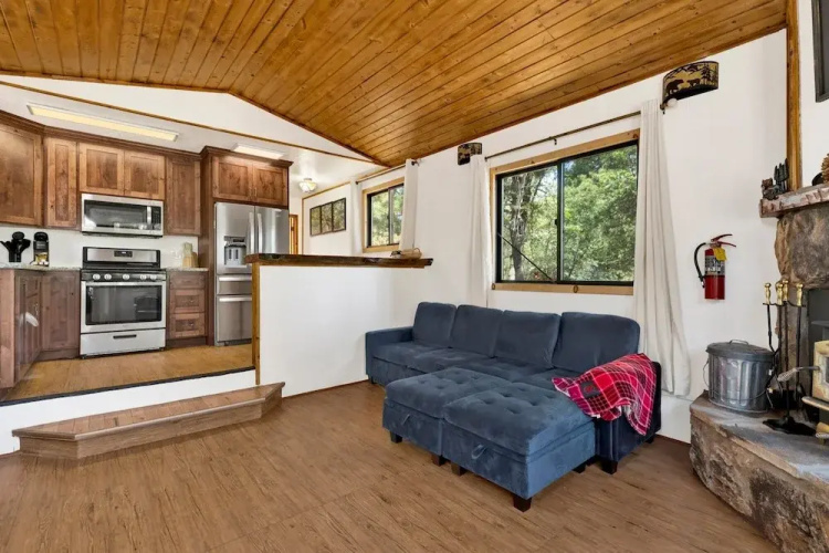 Bear Forest Cabin #2553