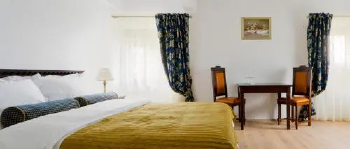 Vila Leonida