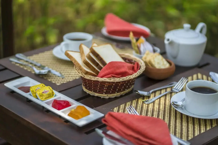 Yala Edge Camping