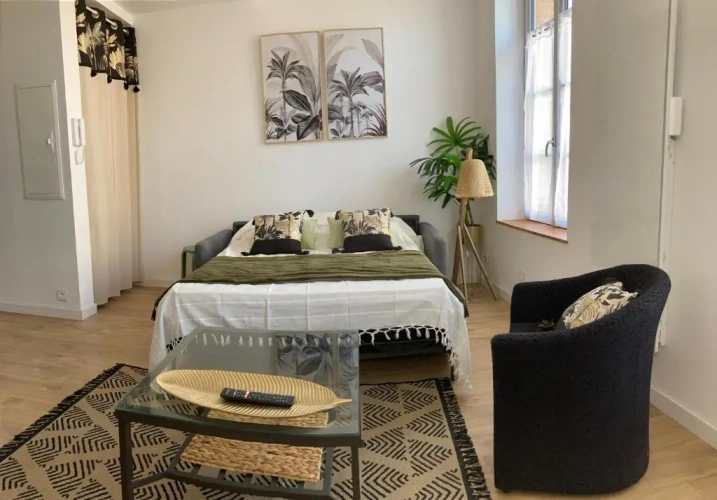 1 Bedroom Apartment