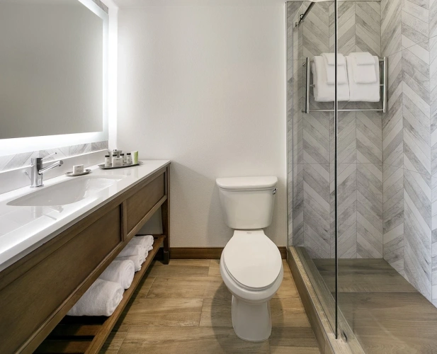 Superior Double room with balcony and with partial view