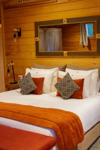 Suite with mountain view