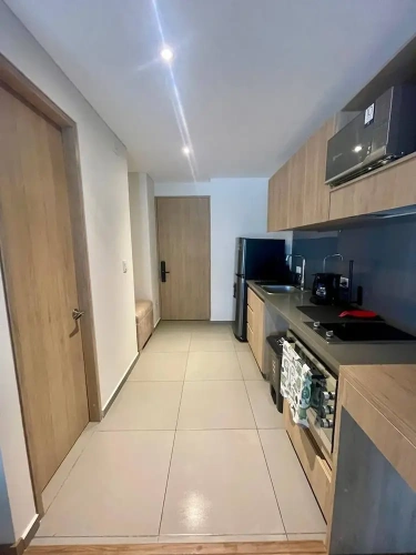 1 Bedroom Apartment with city view