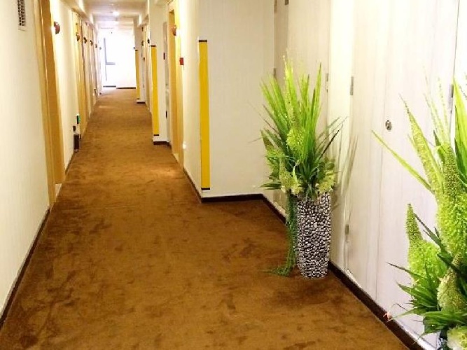 Hotel rooms