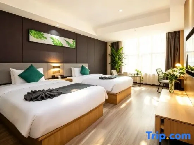 Premium Quadruple room