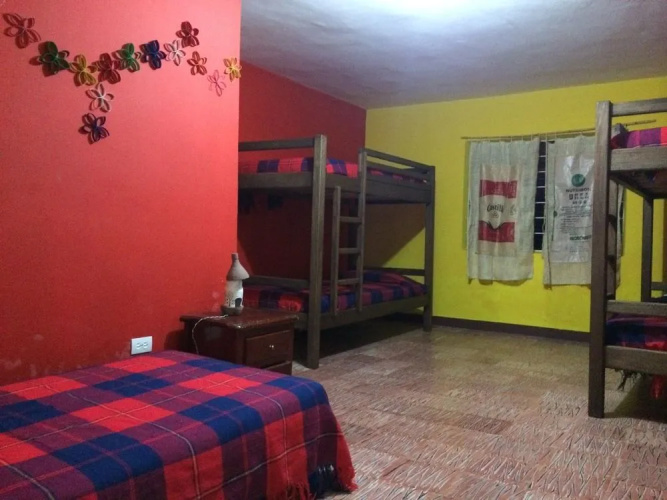Golden Elephant Hostel