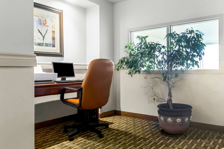 Best Western Plus Mont-Laurier photo 15
