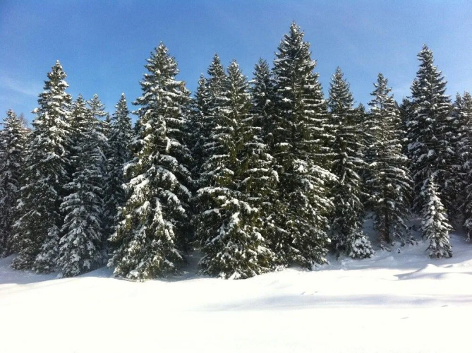 Alpenvilla Berchtesgaden, Bild 15