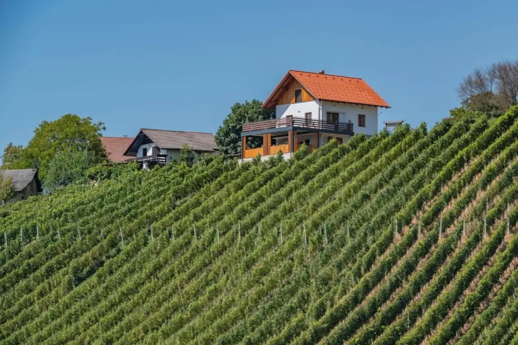 Vineyard cottage Mehak