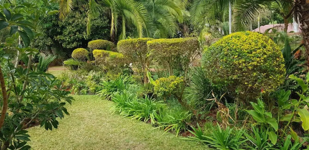Palm villa