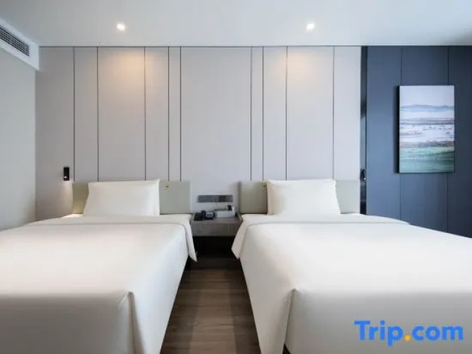Standard Twin Family room