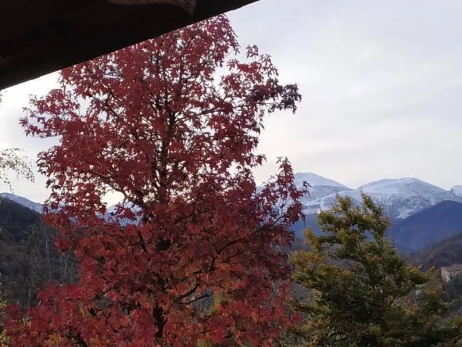 Comfort room with mountain view