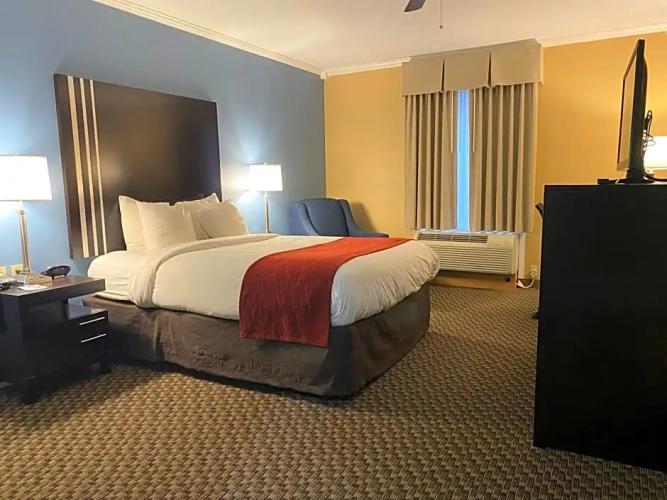 Double Suite